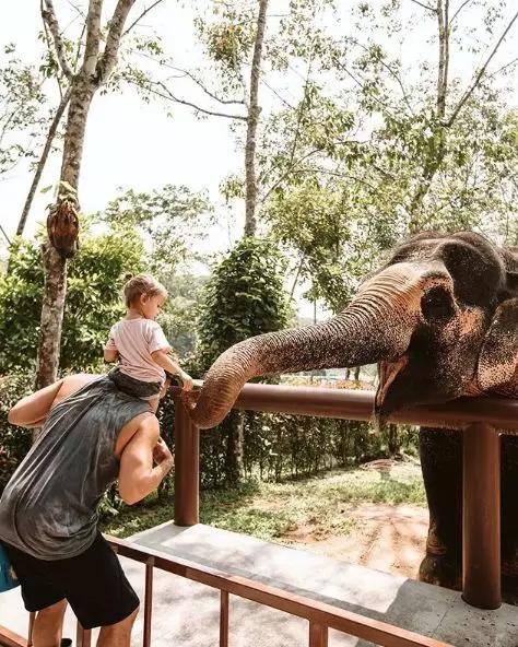 春节普吉岛自由行全攻略,春节去普吉岛旅游合适吗