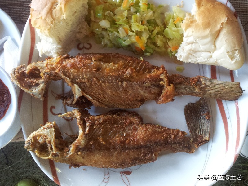 美国、俄罗斯、欧洲、印度、日本、非洲、南美洲都吃什么鱼？