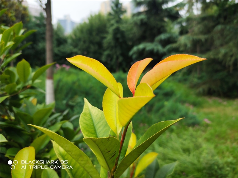 小米黑鲨三评测,小米游戏手机黑鲨3