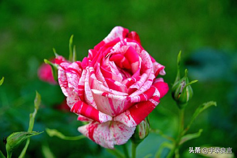 年度热门说说句子大全简短,精辟简短的经典说说