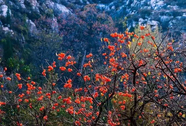 疫情面前，创始人捐款5000万的河南商超是何方神圣？曾两次自杀