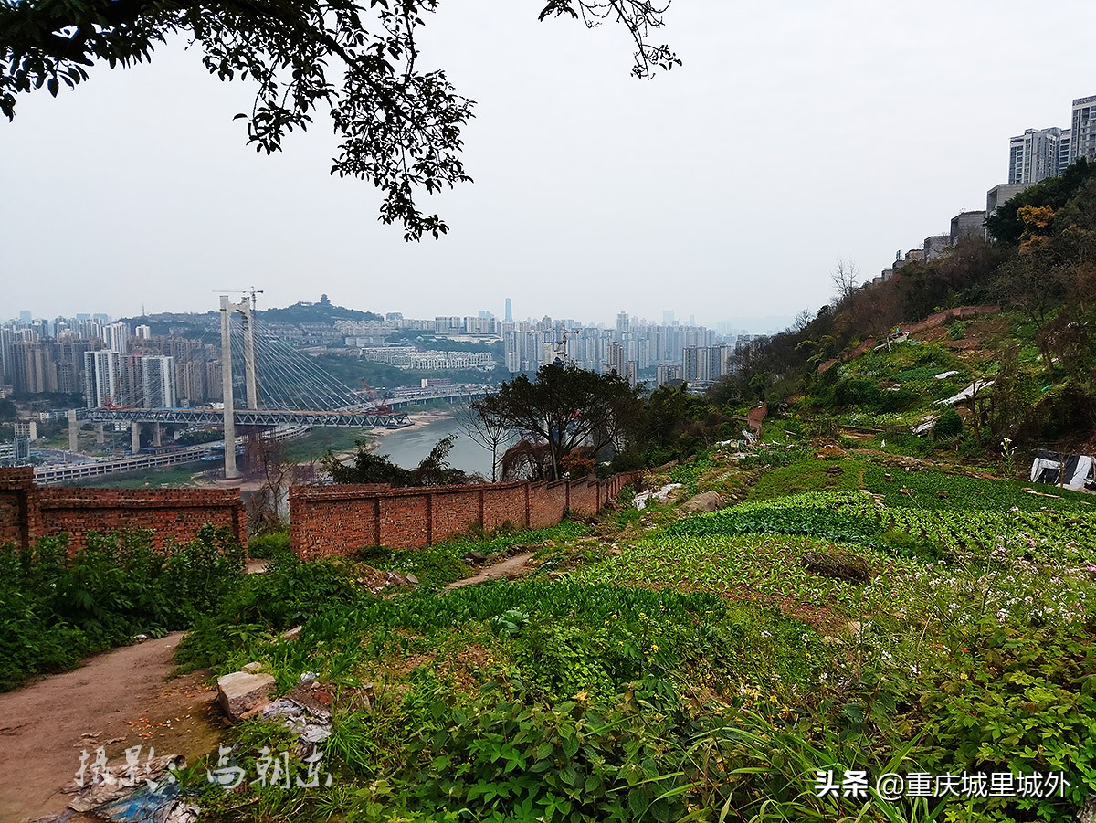 好奇探寻平顶山顶是否“平”，无意发现了渝中区与沙坪坝区的界牌