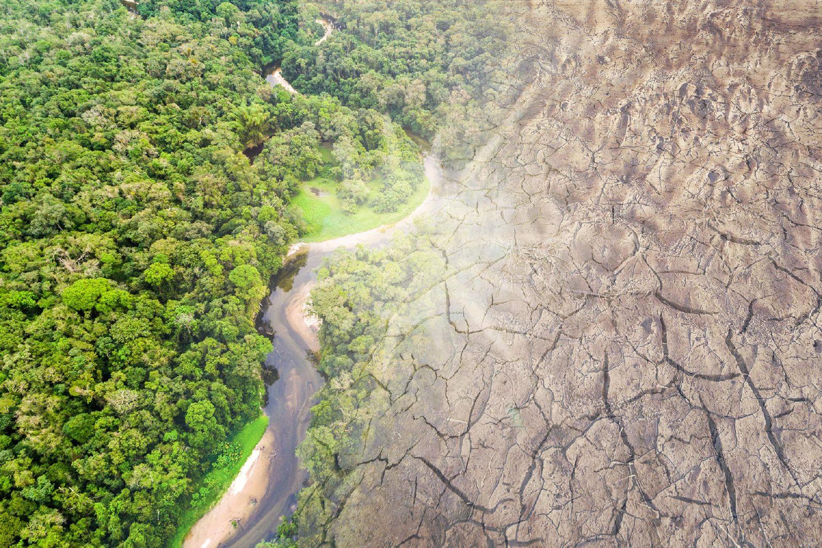 人类禁区地球之肺亚马逊雨林,亚马逊雨林为什么称为人类禁区