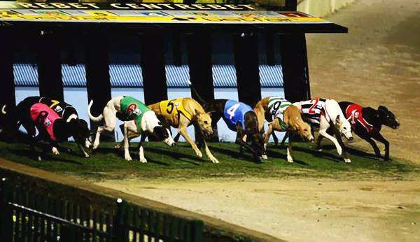 日本橄榄球亚洲第一,各国家的第一运动