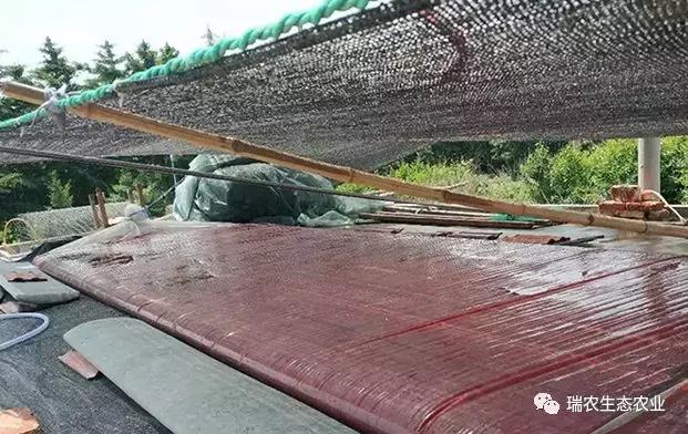 水产养殖用微生物,水产养殖的微生物怎样培养