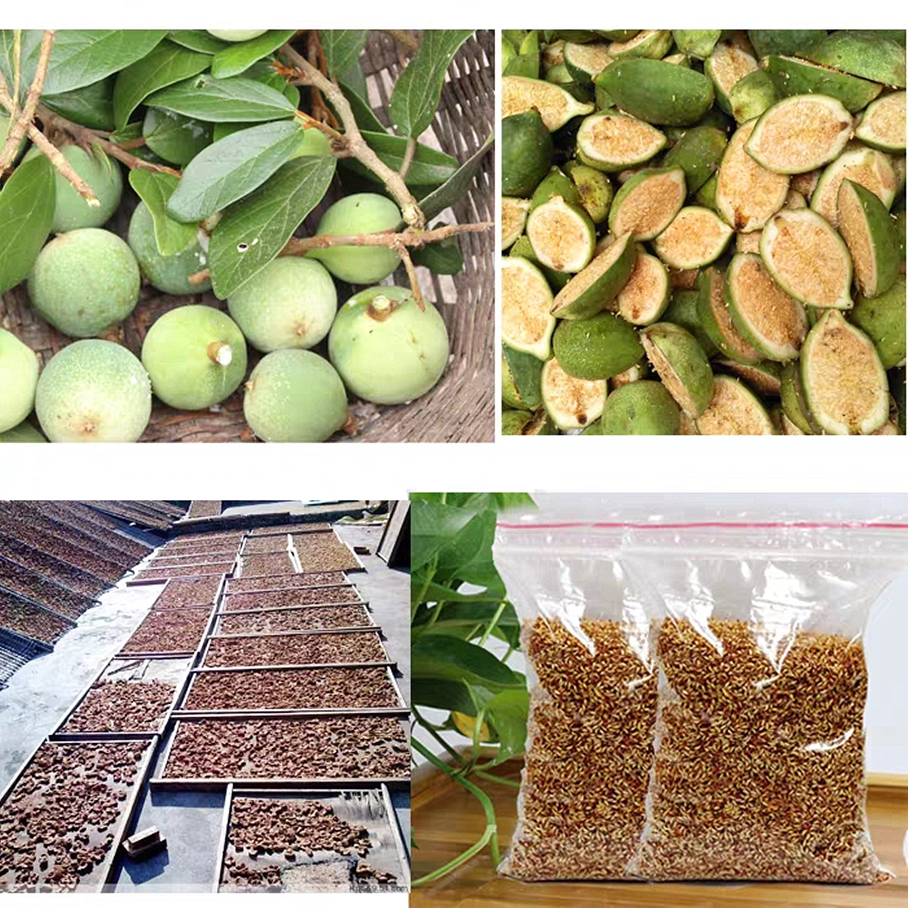 宁波的夏日清凉食品,宁波特色夏天的美食