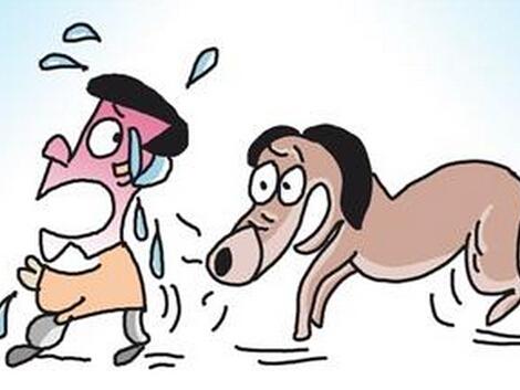 女子遛狗不牵绳！男子遭狗撕咬*体下**受伤，狗主人四天不露面