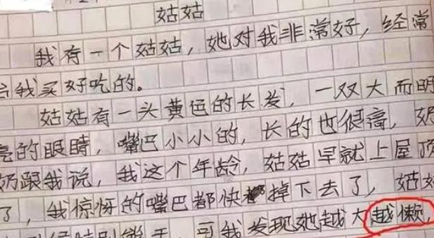 小学生作文小侄子,五年级上册作文写姑姑很暴躁