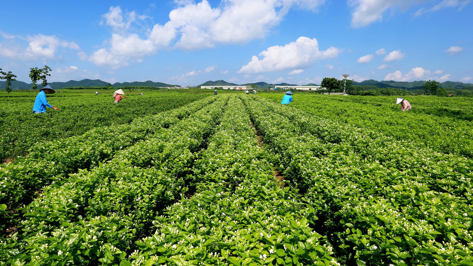 广西风景如画的小城市,广西最迷人的小镇