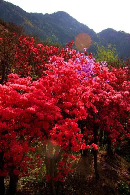 达州三汇,四川省渠县三汇白腊坪民间故事