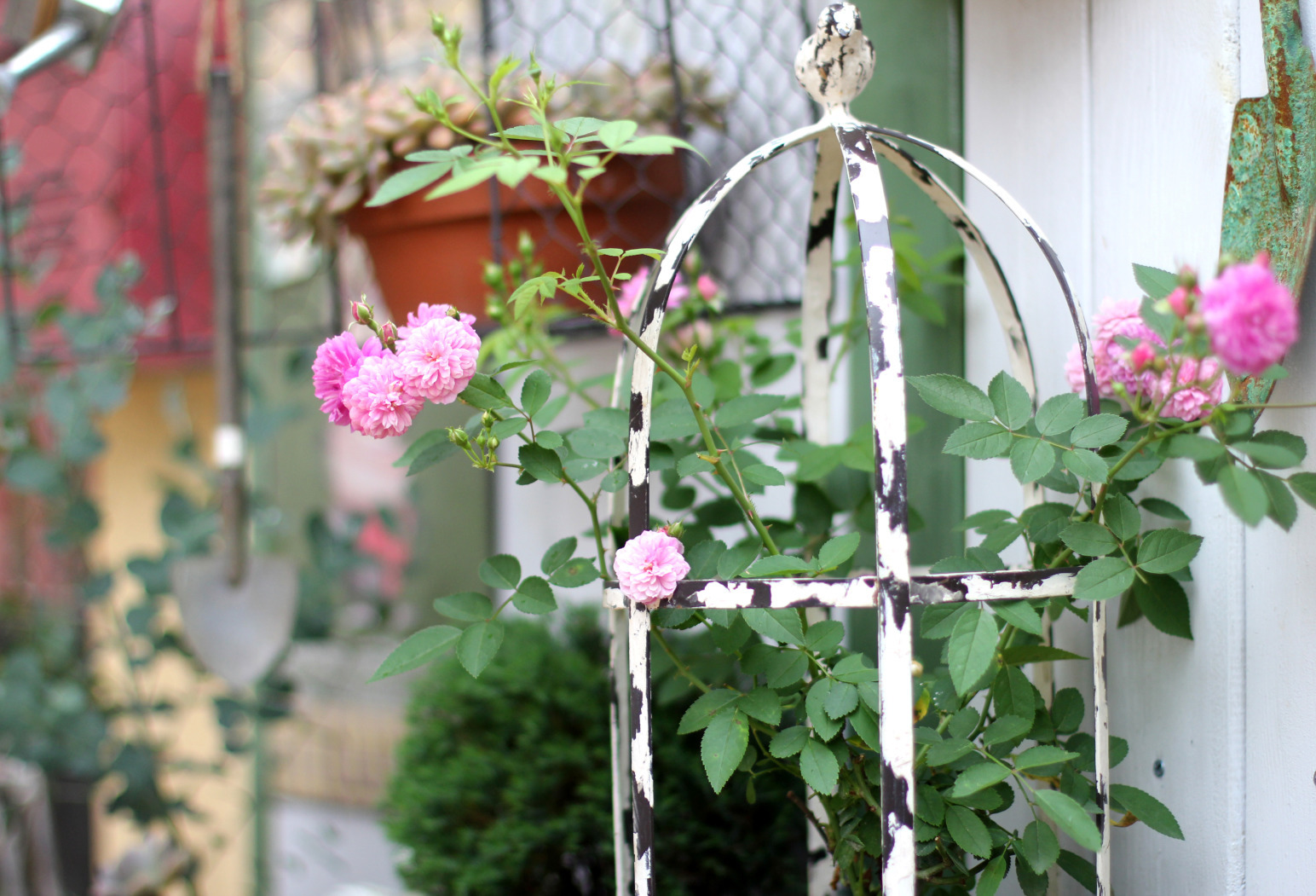 一个重度搪瓷爱好者的杂货花园