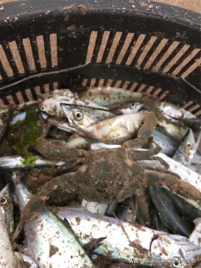 东戴河可以赶海抓螃蟹的地方,东戴河赏海