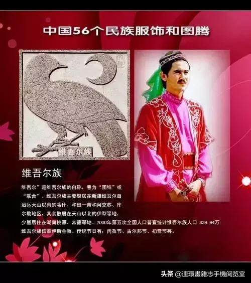 外网评论中国56个民族服饰,56个民族的图腾