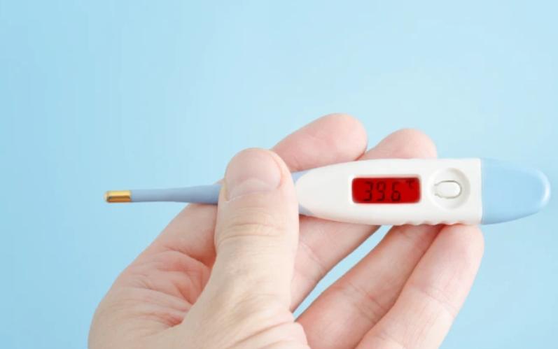 泰迪狗流眼泪吃什么,泰迪狗流清水鼻涕怎么治疗