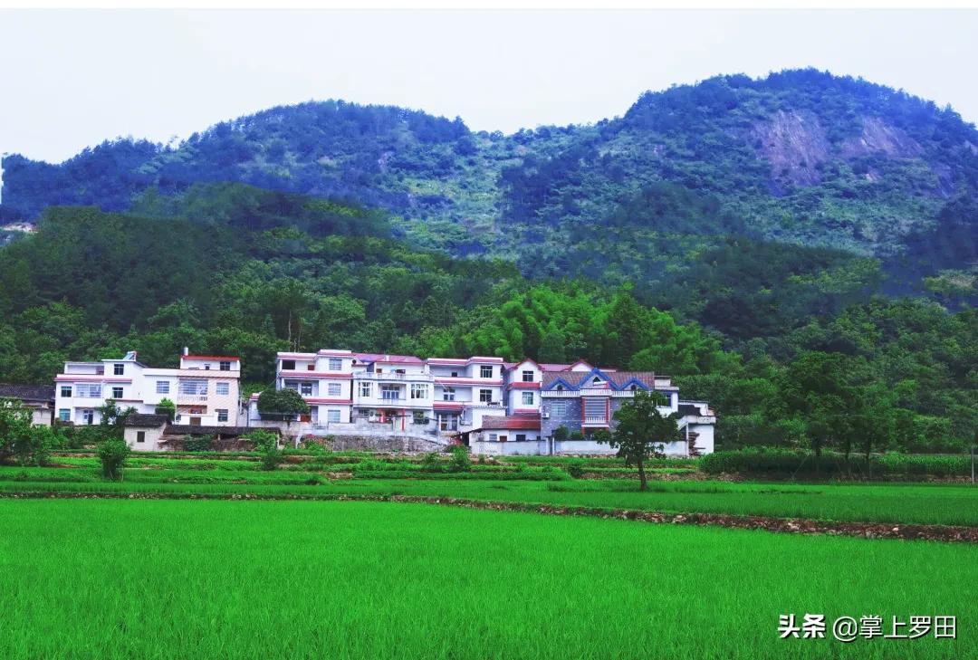 梦里是江南水乡，没曾想，却恋上罗田这个村