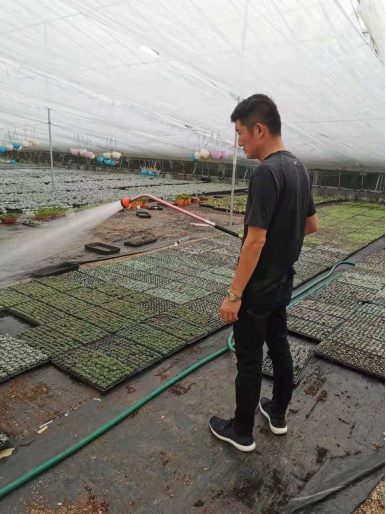 抖音卖多肉年赚上百万的主播,小伙直播卖水果挣千万