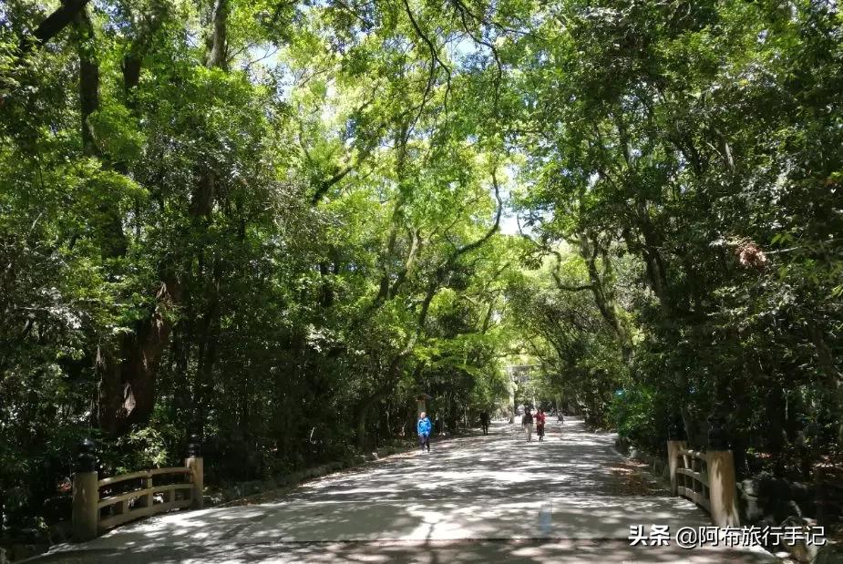 日本名古屋美食介绍,名古屋必吃