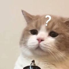 珠海入户申请多长时间才能批下来,珠海大专入户最新政策需要社保吗