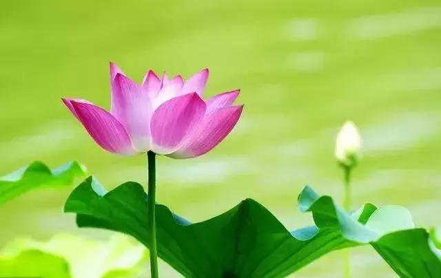 平安是最好的祝福,平安是最好的礼物