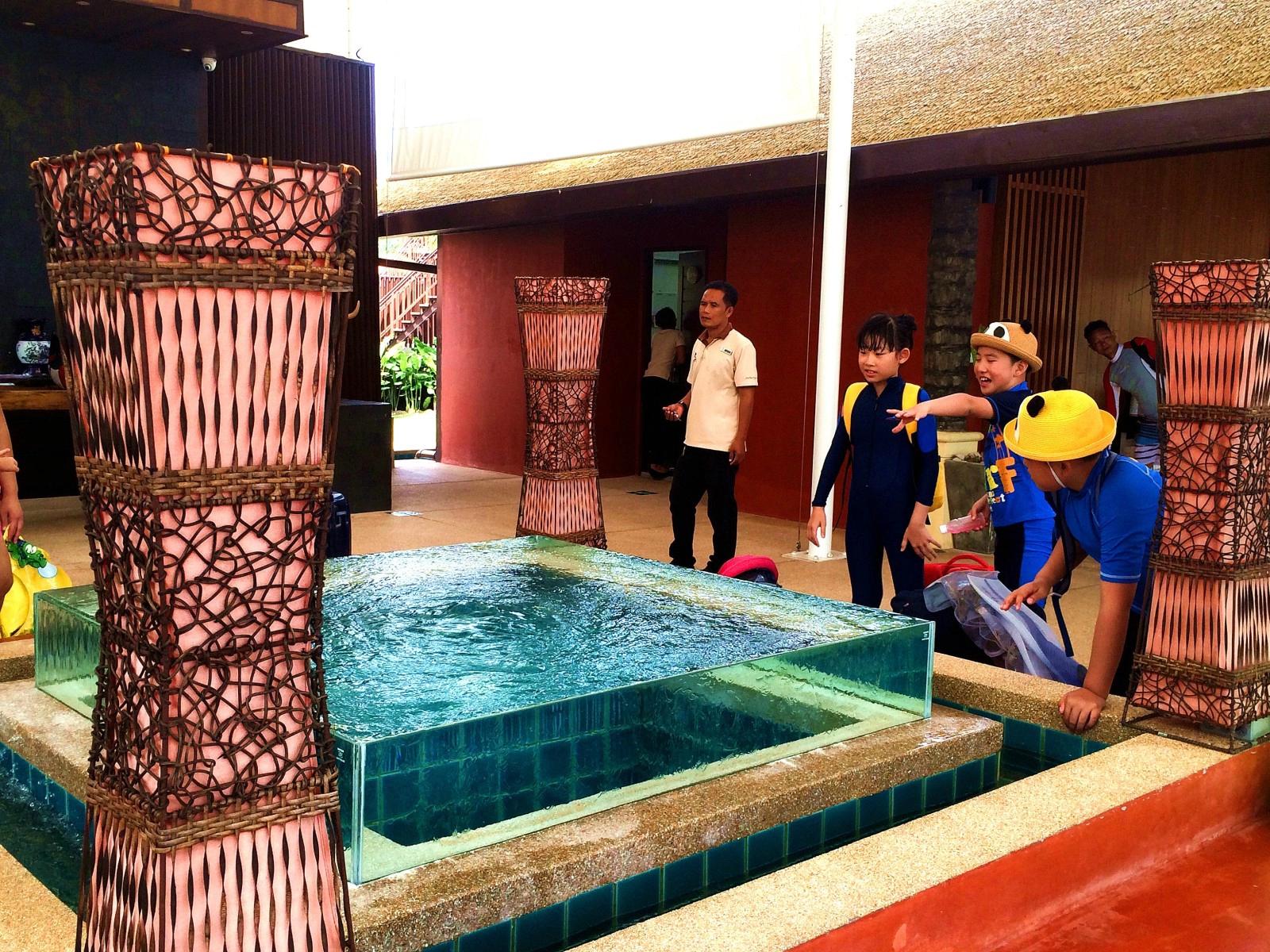 普吉pp岛浮潜,普吉岛nuibeach浮潜