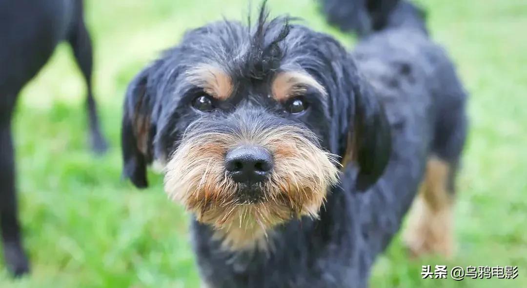 b站必看的综艺,b站能看的综艺推荐