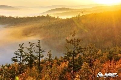 回乡遇到小学同学,听说当年经常骂架的“三王子”现在特不爱说话