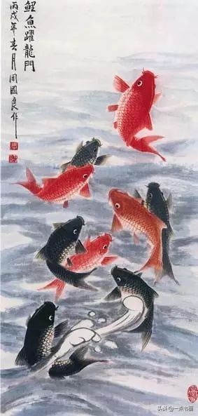 池中之仙，惊艳若此——锦鲤