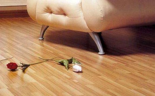 屋里落灰毛怎么办,家里毛灰怎么消除