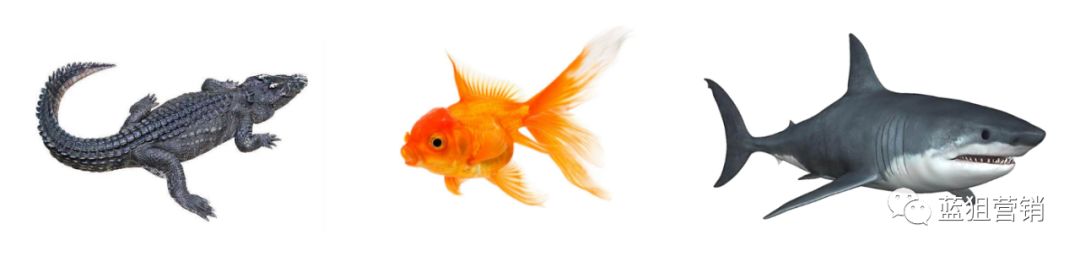 手把手教你打造爆款产品,干货如何做好场景化营销