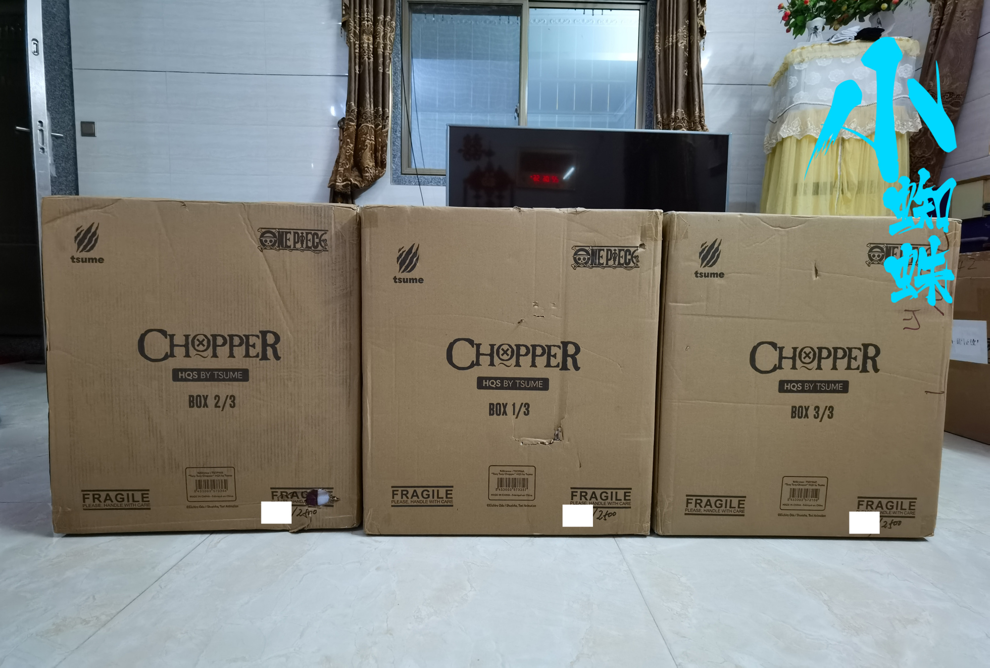 t社乔巴测评,t社同款乔巴