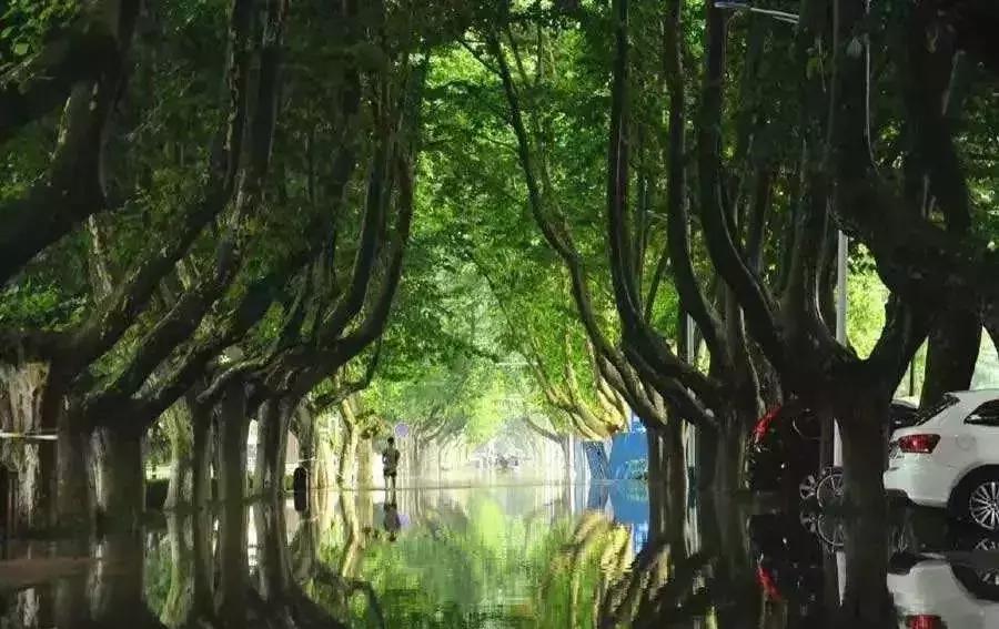 选专业首先要清楚大学专业的分类,高中选专业和大学选专业的区别