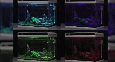 小米超白鱼缸带水草,超白玻璃鱼缸小米