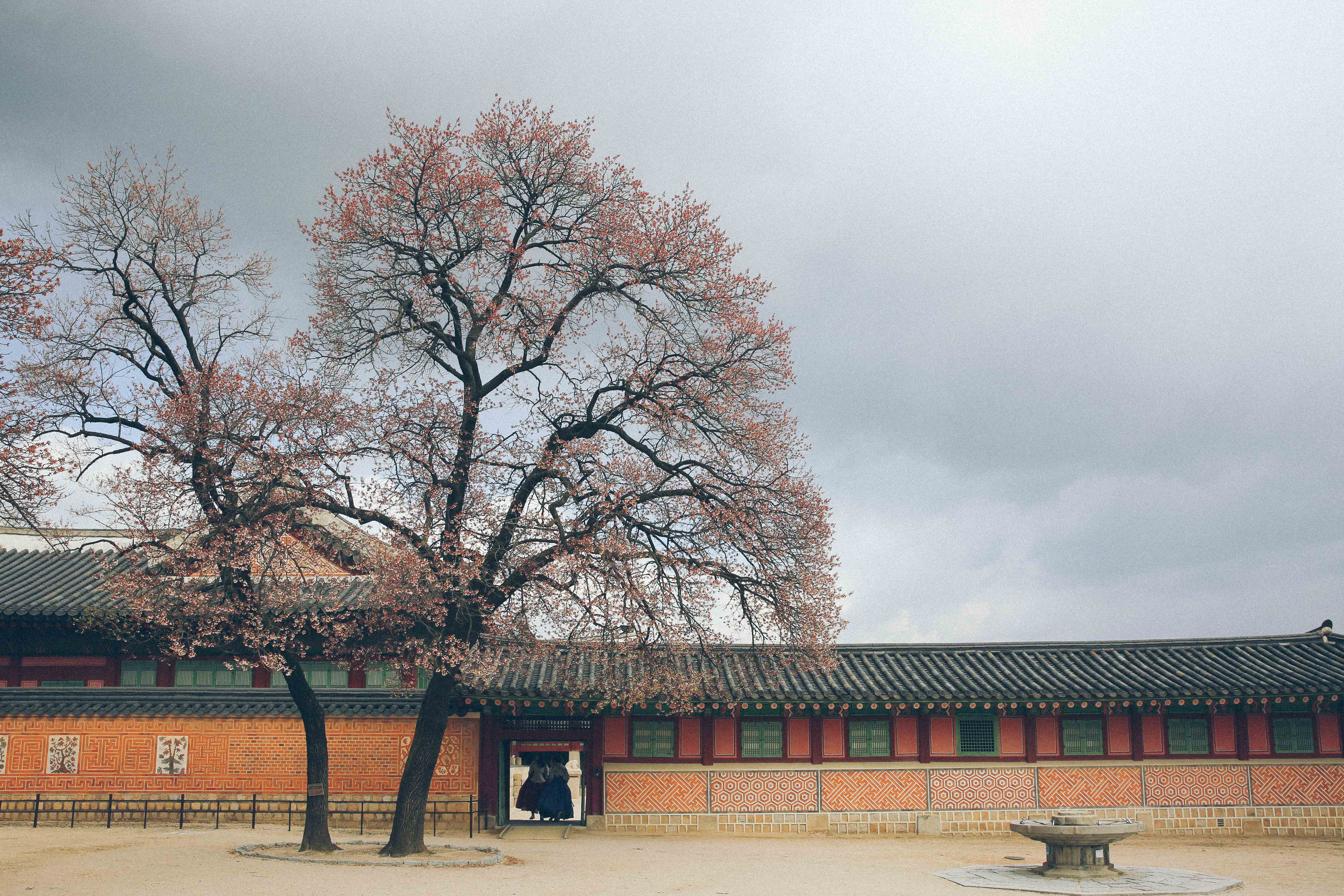 在首尔生活感受,在首尔的悠闲时光