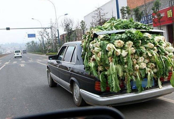 路虎拉白菜视频,后备箱拉菜被罚