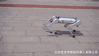 高端智能机器狗,wavego仿生机器狗