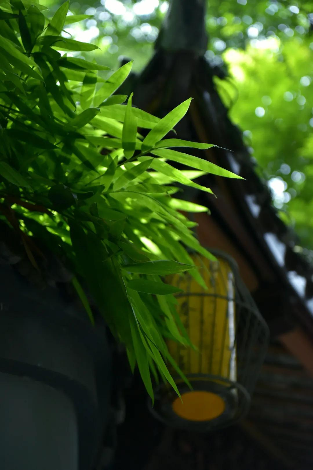 杜甫草堂文献展,古籍保护成果展