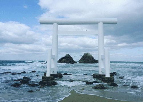 去日本看樱花的攻略,日本人第一次到中国看最大的樱花