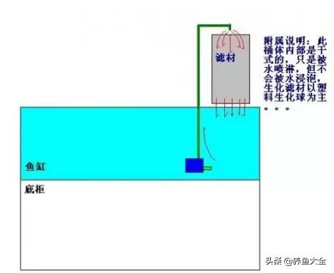 鱼缸过滤详细讲解,学会这一招鱼缸清澈