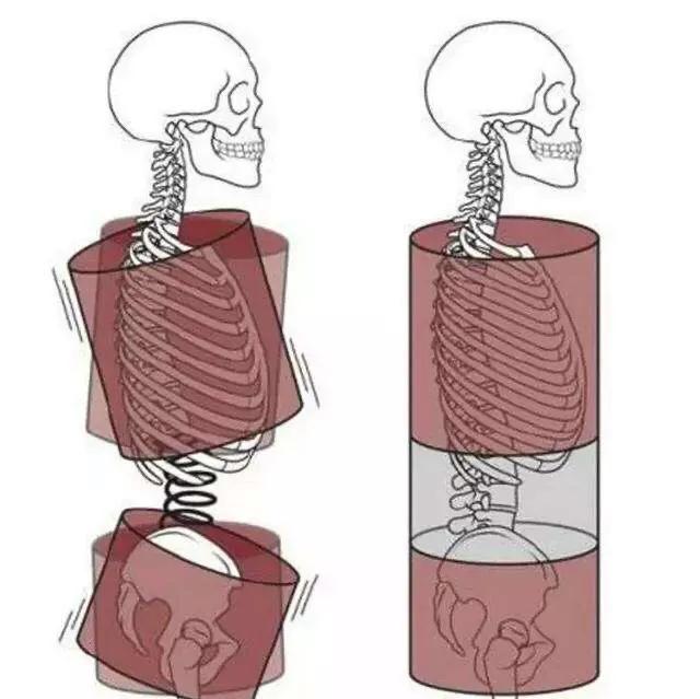 肋骨外翻生活体态怎么调整,体态矫正可以治疗肋骨外翻吗