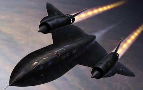 中国黑鸟,中国的黑鸟比麻雀大点