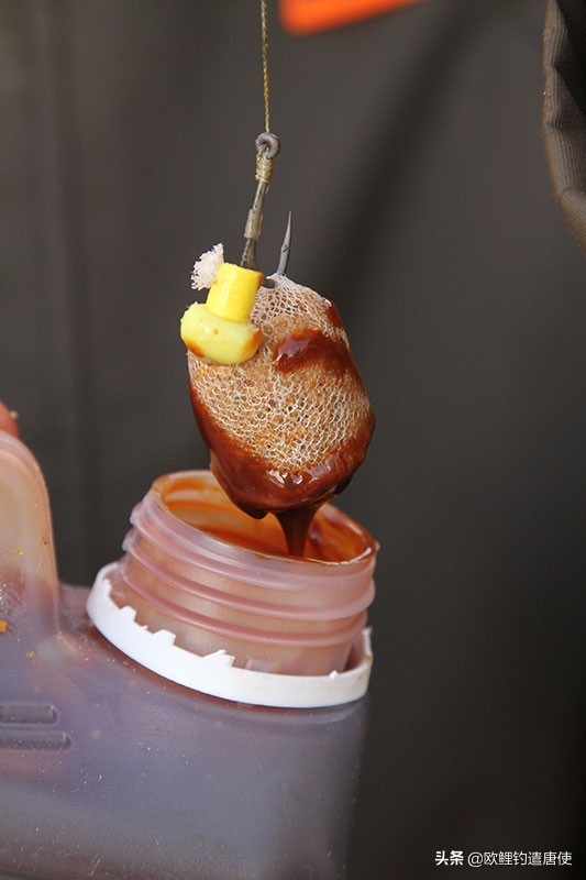 话说欧鲤钓组全集,欧鲤钓法pva