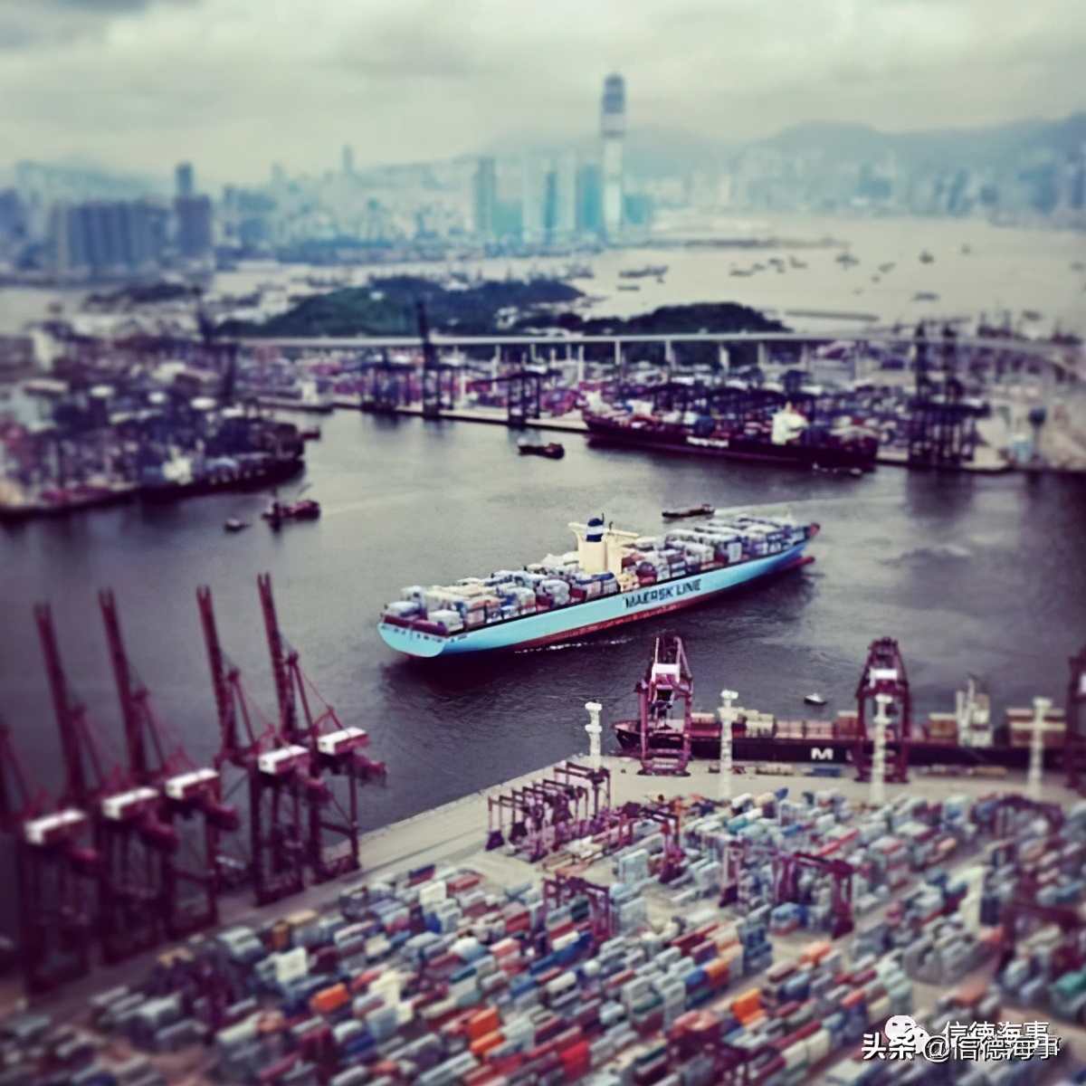 马士基属于什么类型,马士基什么时候有舱位