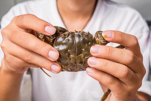 爆排4年の魔都网红大佬,凭①份「冬阴功小龙虾」杀入泰料圈