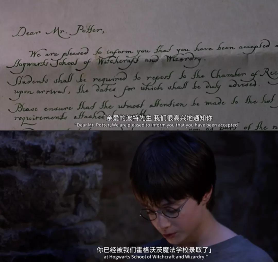 哈利波特的一生,哈利波特人物一生回忆录