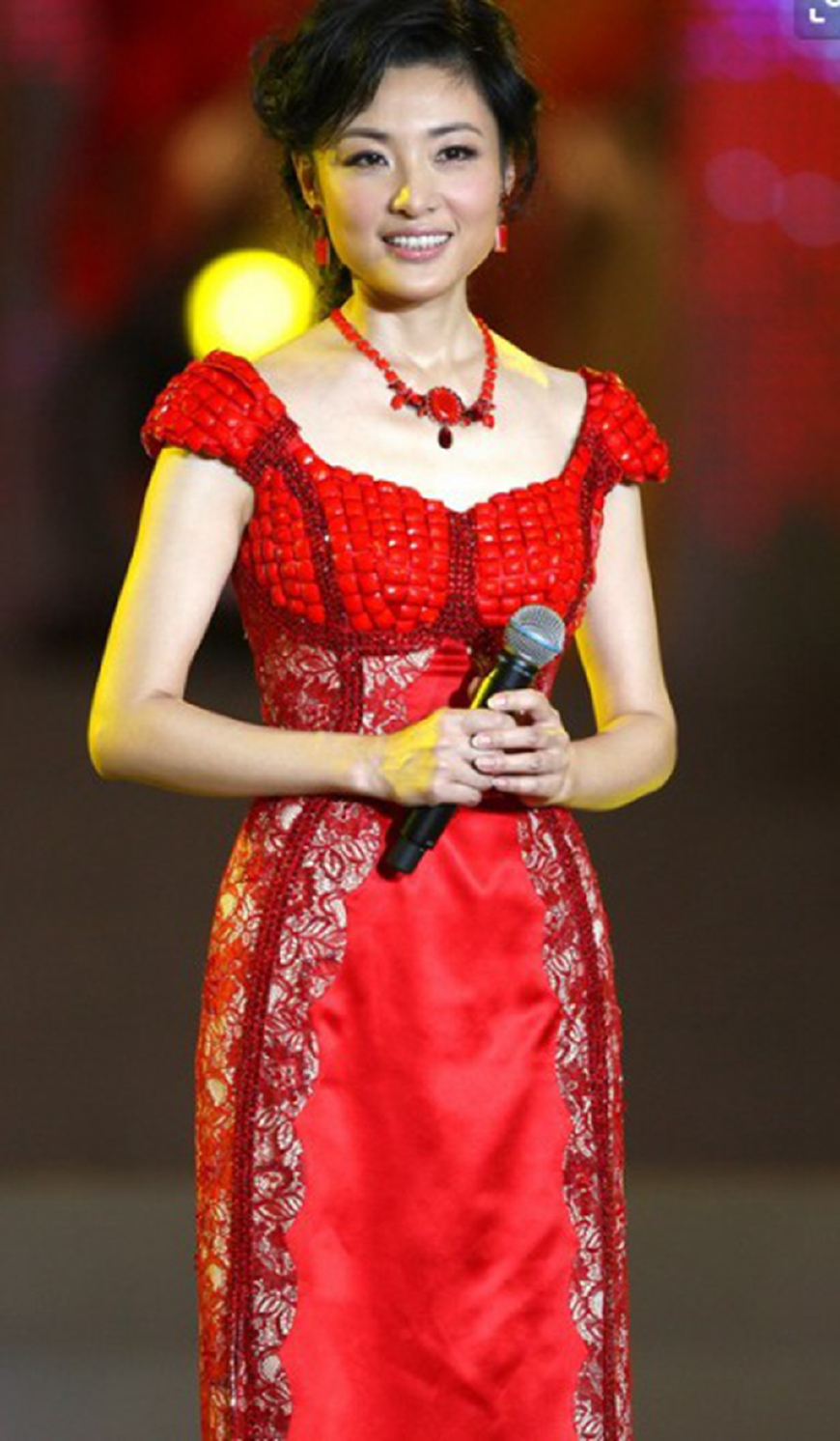 央视退休主持人今昔对比,高逸峰倪萍赵忠祥杨澜鲁豫访谈