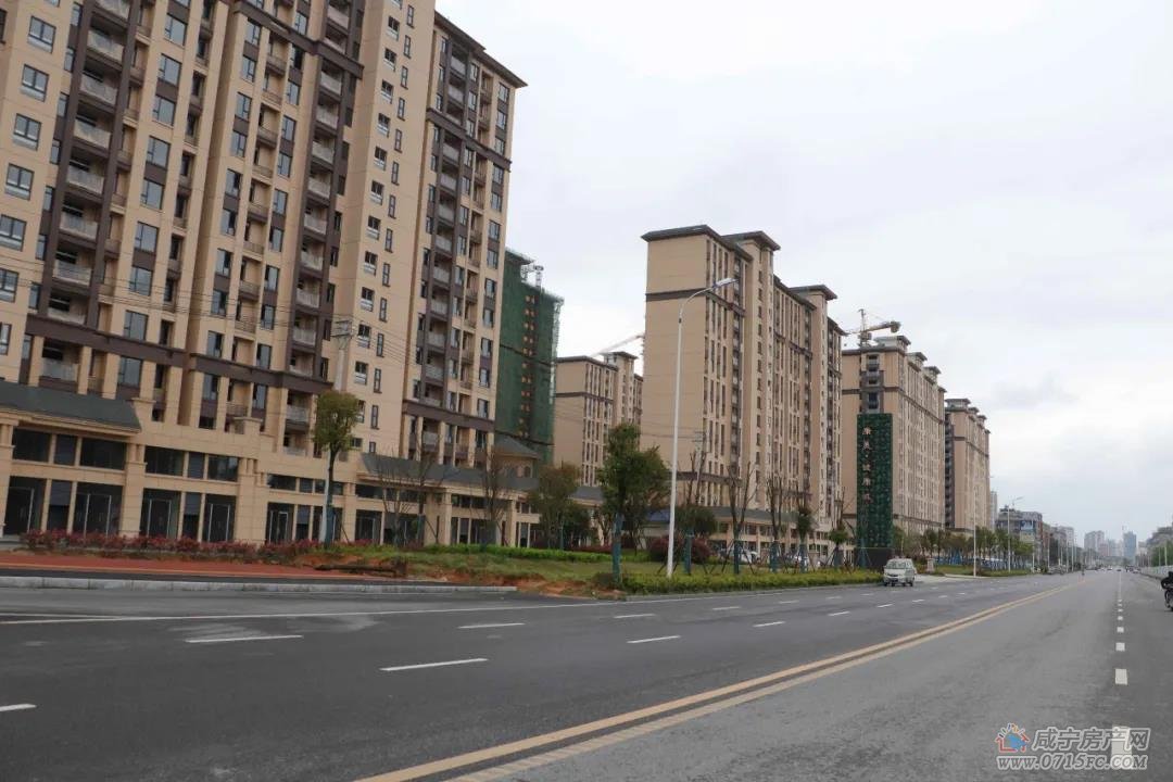 通城月牙湖公园游玩,通城月牙湖公园有人抢手机吗