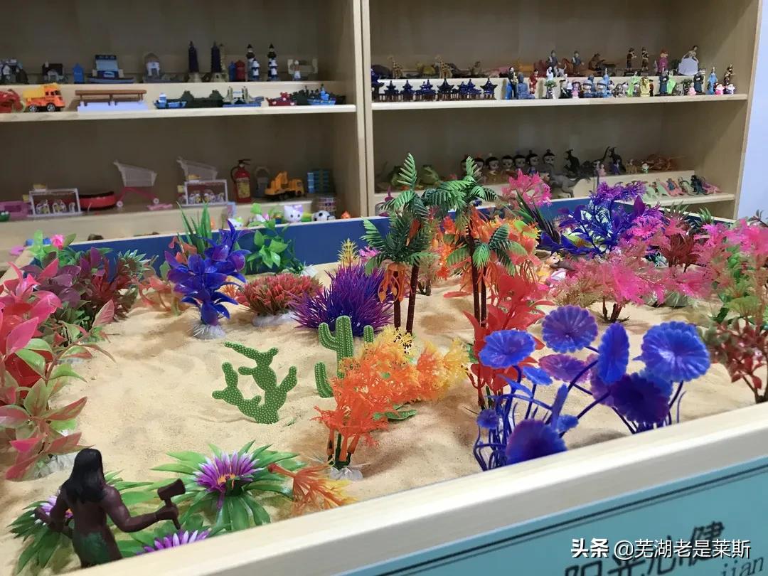 实地探访！芜湖新学校环境、师资大曝光