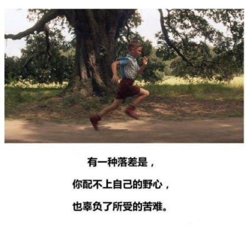 阿甘正传这部电影告诉我什么,电影阿甘正传