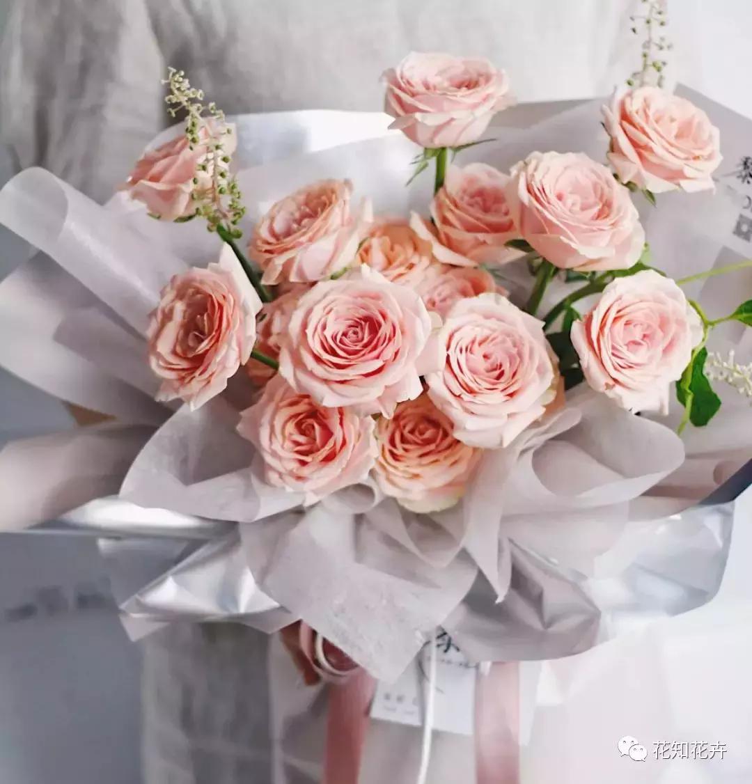 中国玫瑰大家族——雪山玫瑰详解（二）