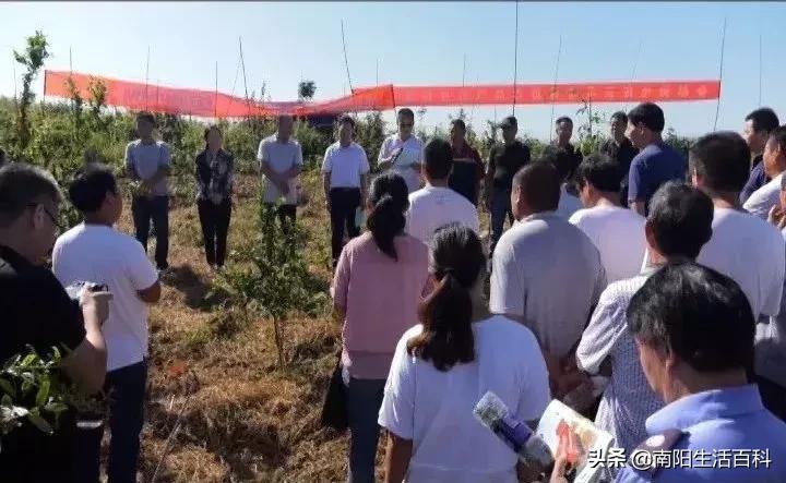 走进田间地头的黑科技农机装备,新型高科技农机展示